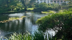 Un paisaje tranquilo con un estanque, abundante vegetación y un edificio de varios pisos con ventanas de arco y balcones.