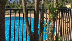 Piscina rodeada de palmeras y una cerca.