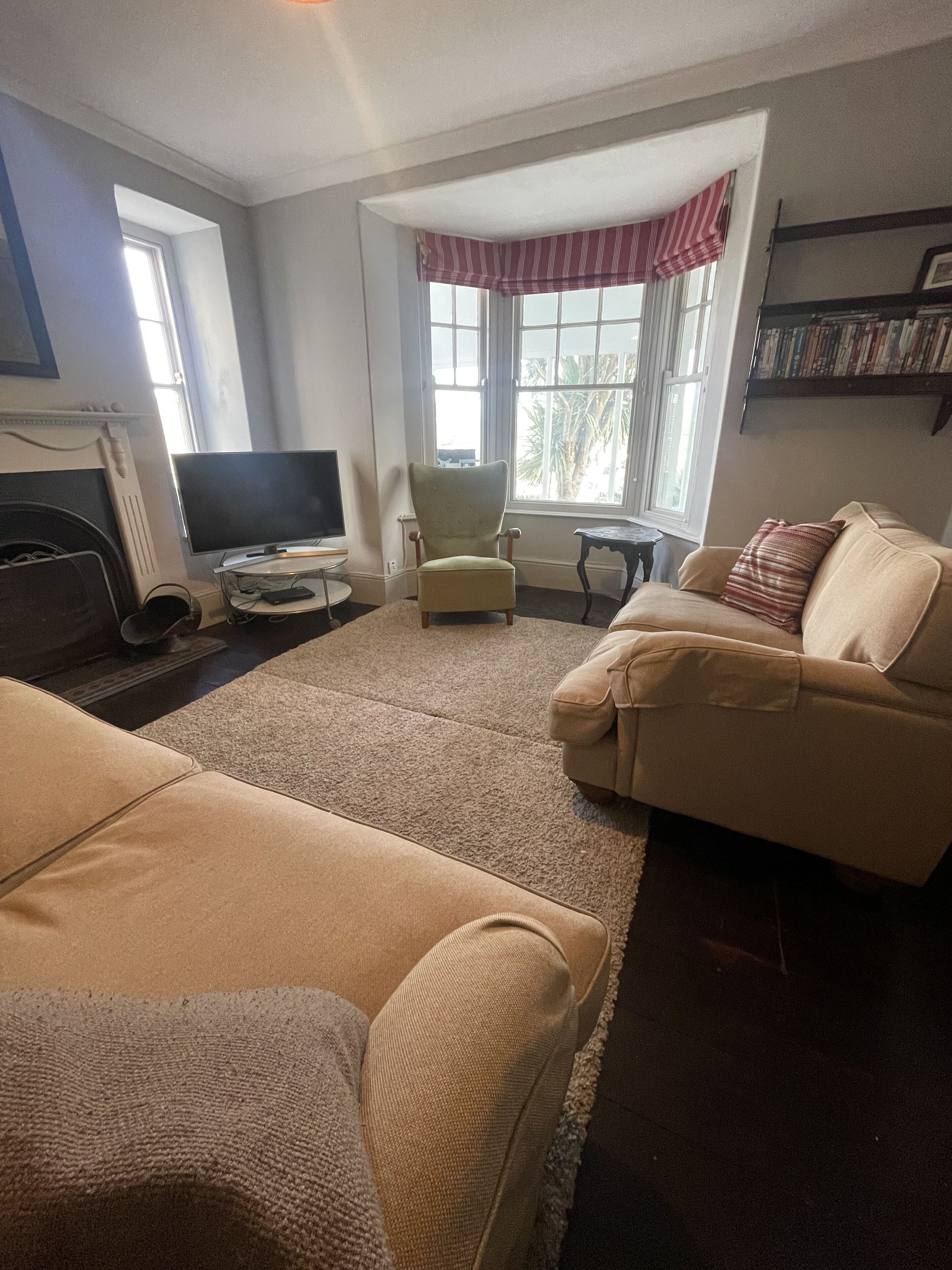 TV connectée, cheminée, lecteur de DVD, livres