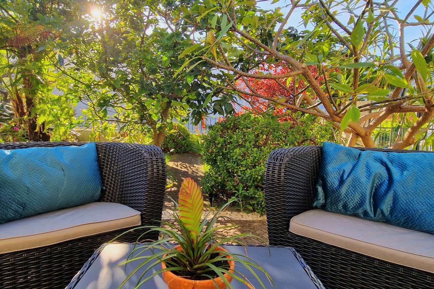 A wicker outdoor seating area with cushions, a table, and a potted plant.