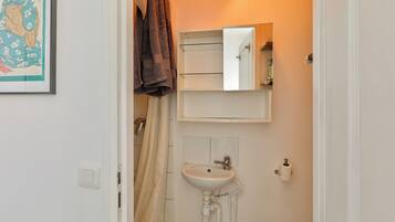 Shower, towels, toilet paper