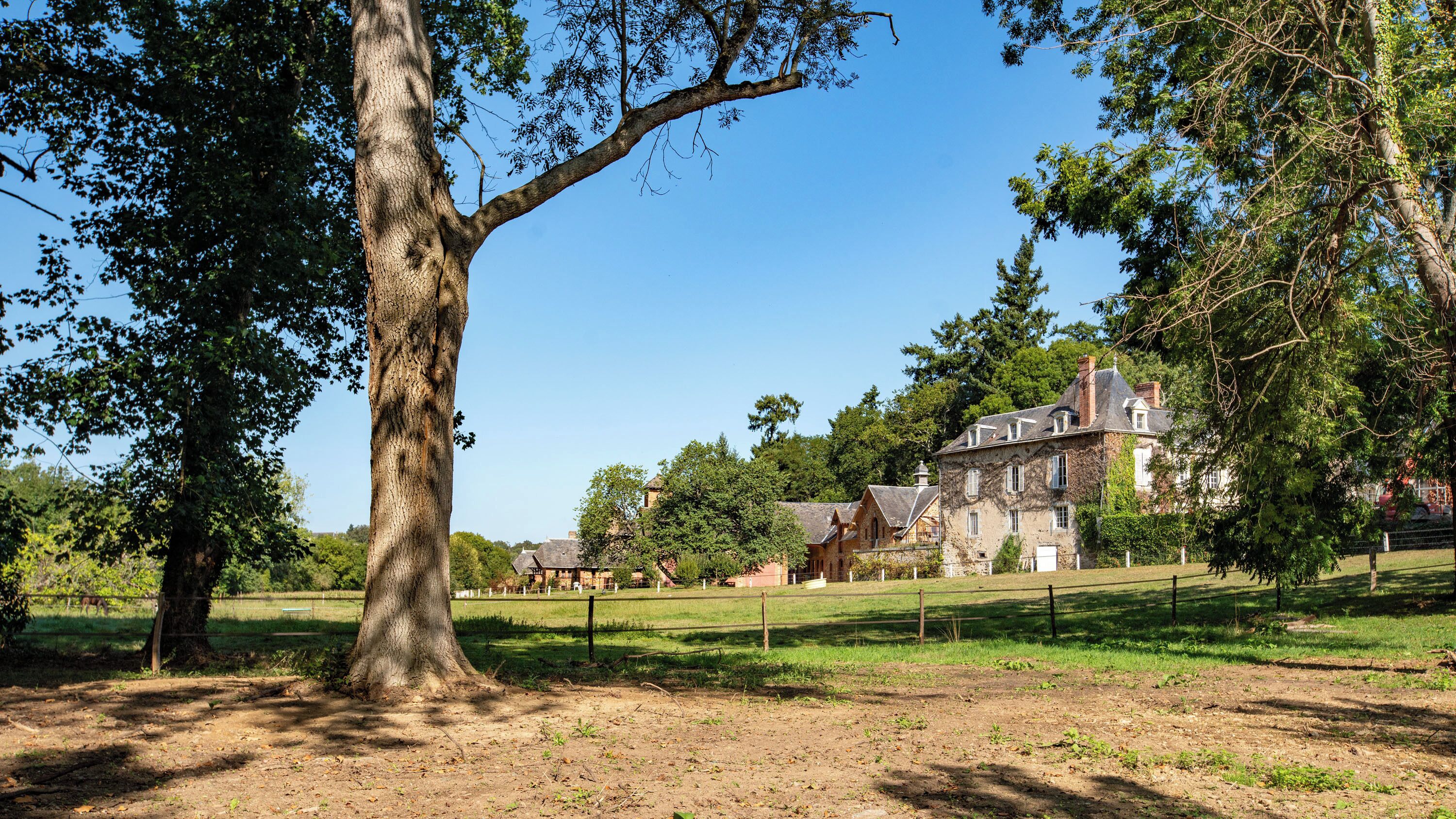A large tree in the foreground with a historic building in the background.