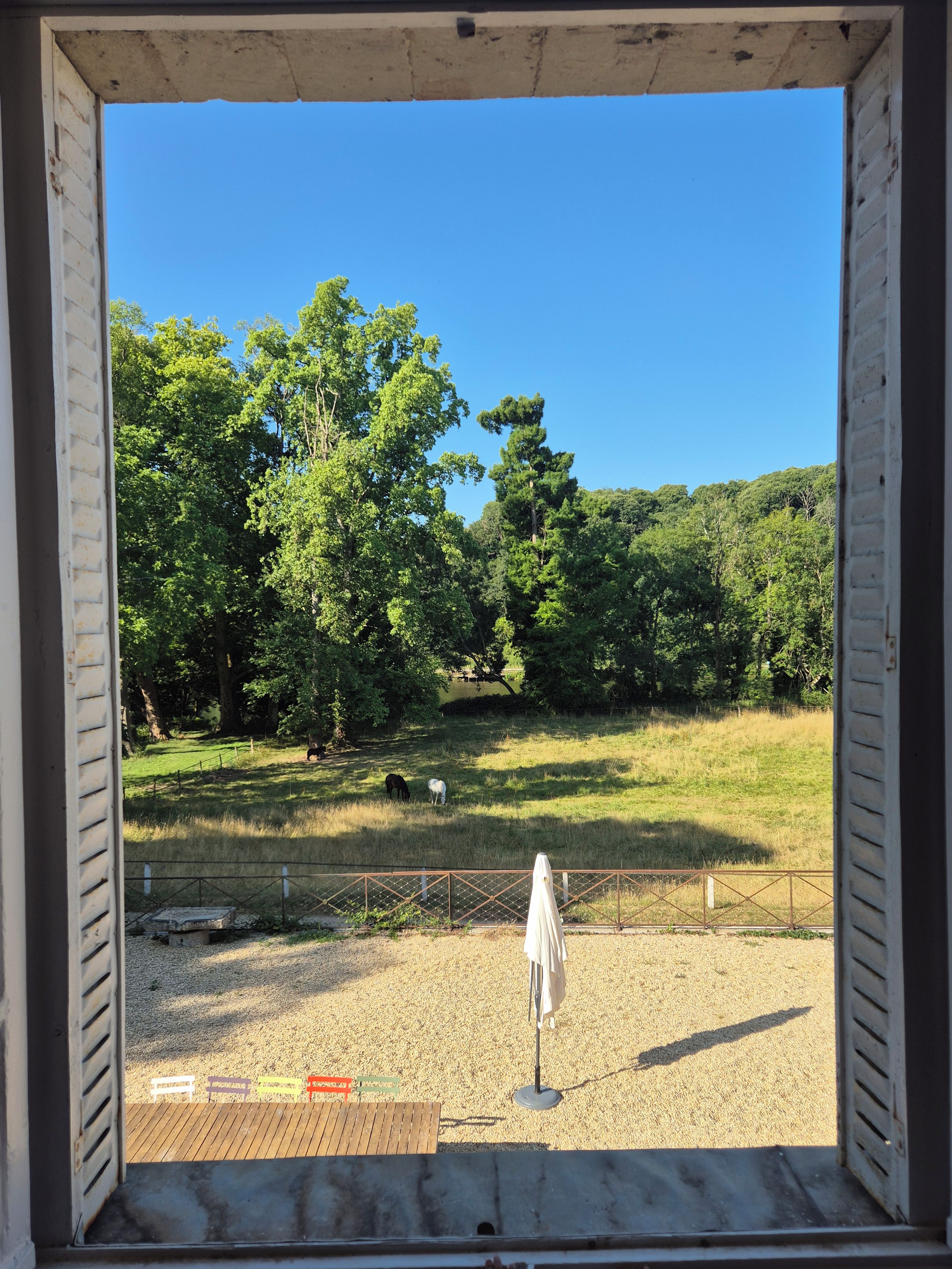 Une porte ouverte donne sur un espace verdoyant, avec des arbres et un enclos délimité par une clôture.