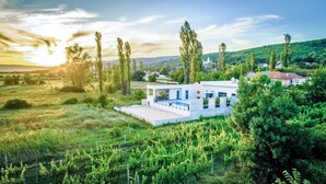 A modern house with a flat roof, surrounded by lush greenery and vineyards.