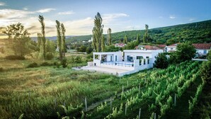 A modern house with a flat roof, surrounded by a vineyard, set in a hilly area.