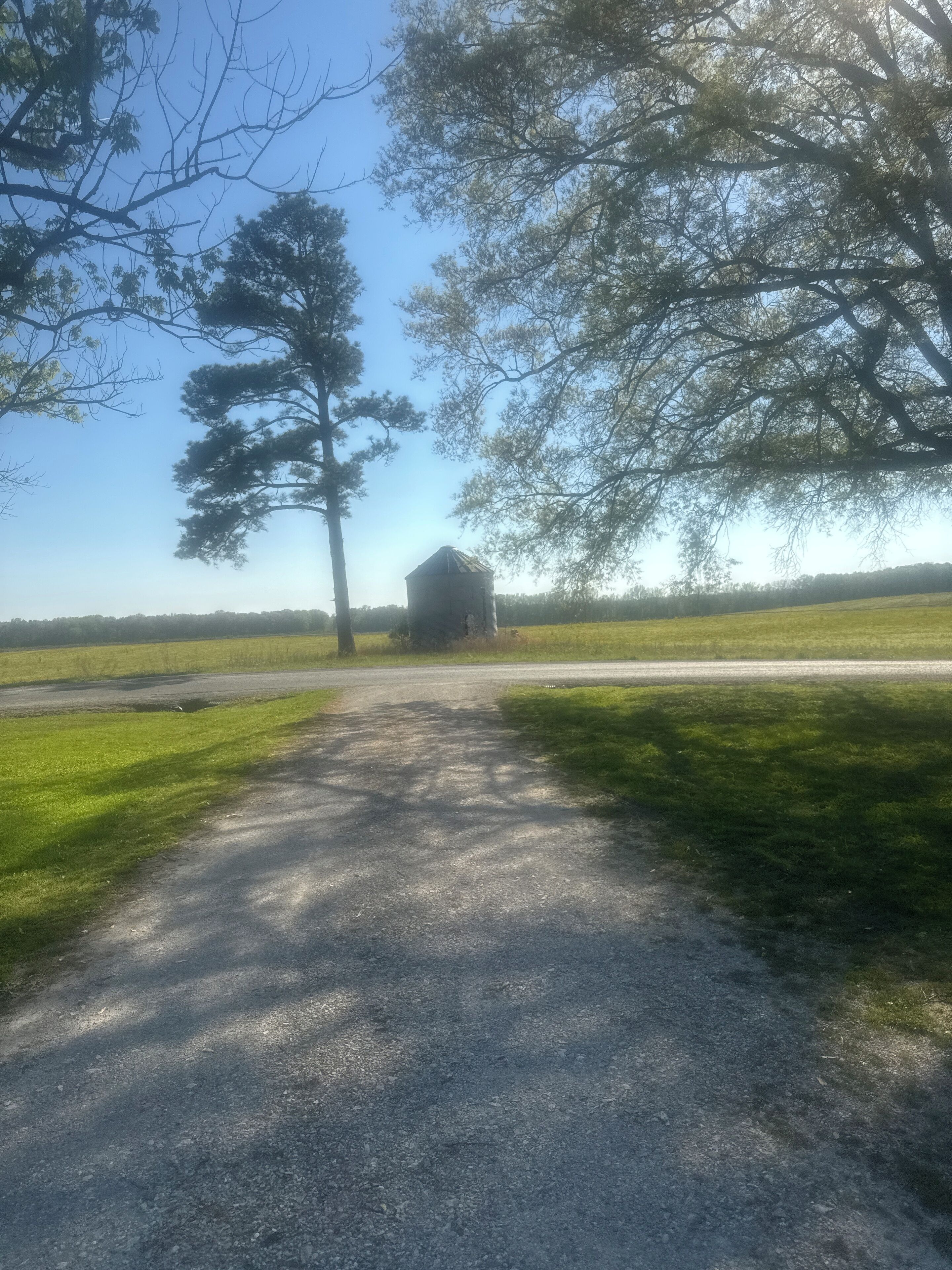 A gravel path leading to a rustic barn in a rural setting.