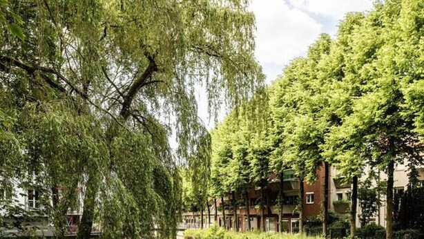 A serene riverside walkway with lush greenery and a calm water body.