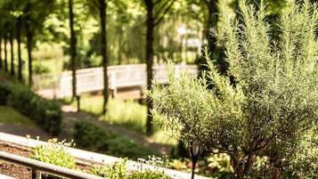 Terrein van de accommodatie