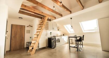 Central studio - loft with WLAN & parking space