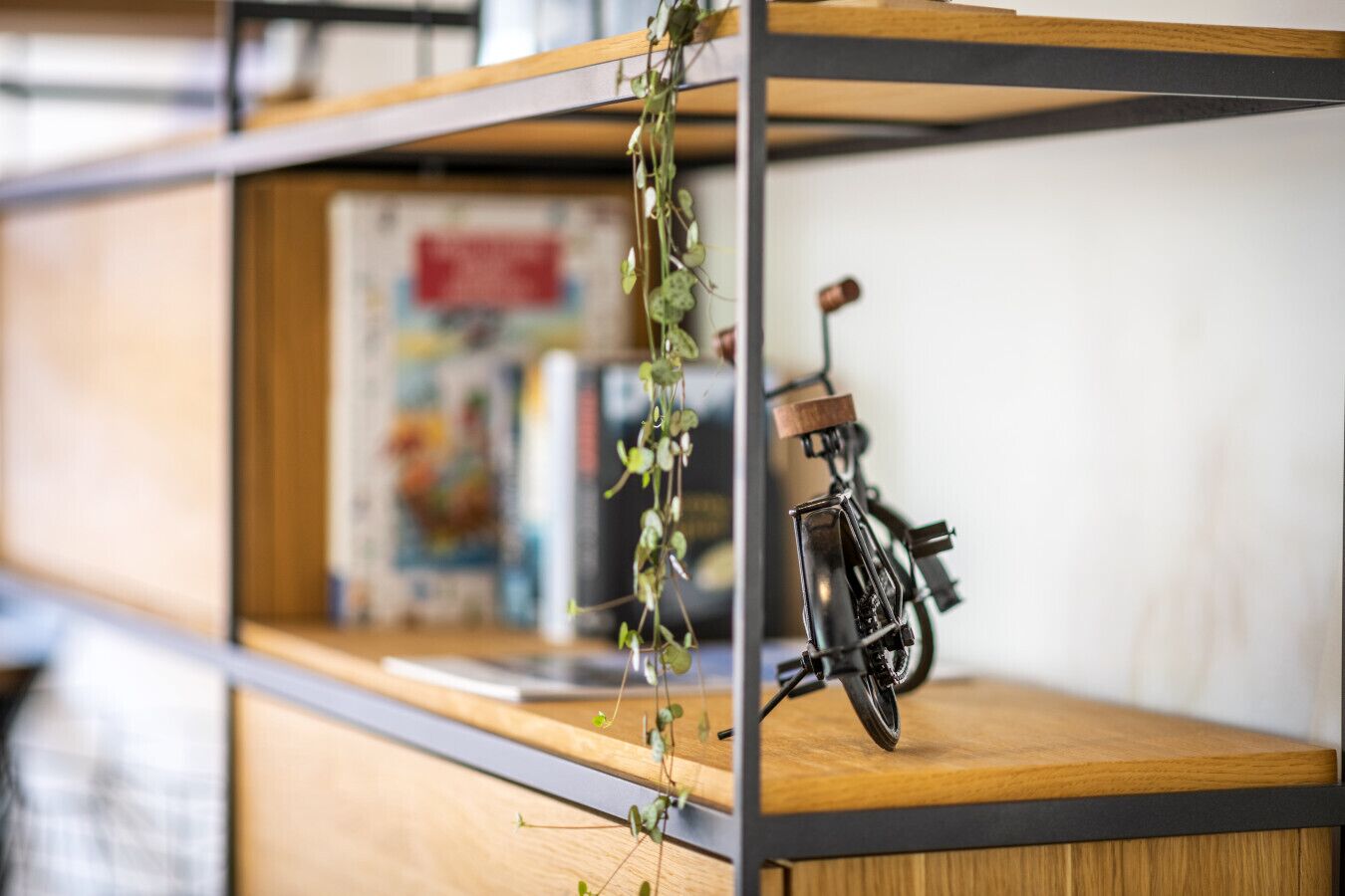 A shelf with a bicycle and a plant.