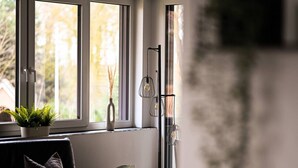 A room with a window, a plant, a lamp, and a chair.