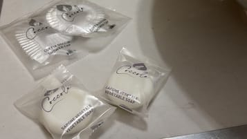 Haartrockner, Handtücher, Seife, Toilettenpapier