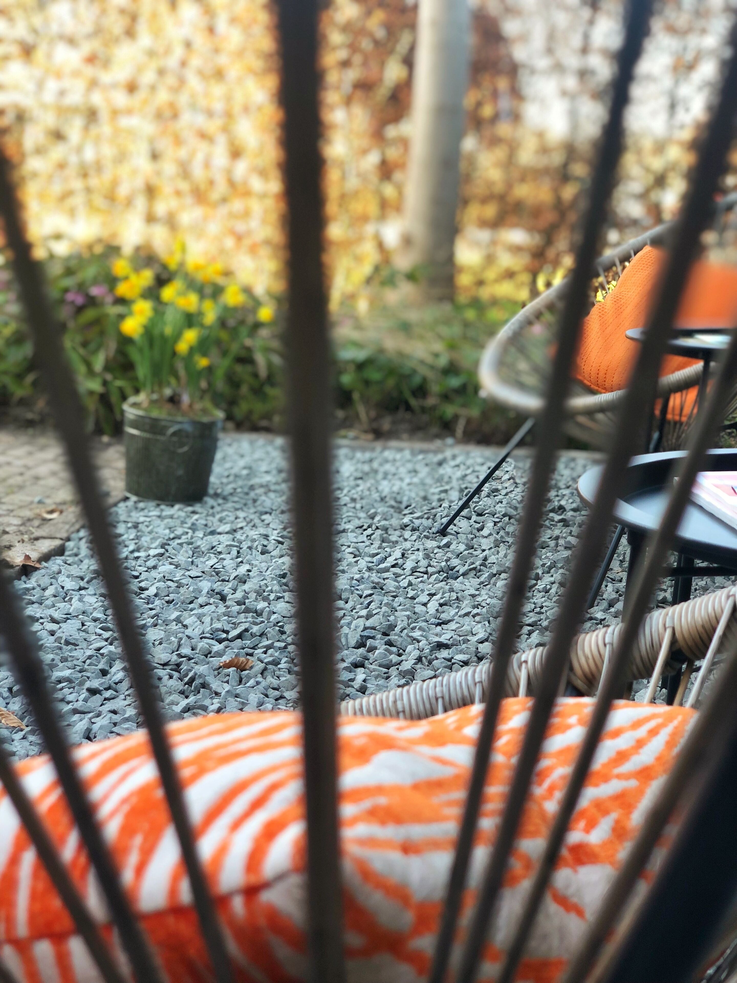 Een tuin met een grindpad, een stoel met een oranje kussen en een potplant met gele bloemen.