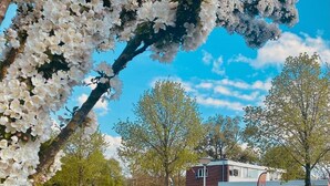 A modern building with a brick facade and a flat roof, surrounded by trees and a clear sky. - Luxe studio with vintage look in  ‘a New Village on New Land’ Nagele (Nagele)