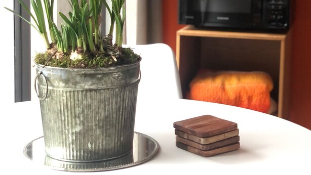 A potted plant on a table, a microwave, and a shelf with a decorative item. - Luxe studio with vintage look in  ‘a New Village on New Land’ Nagele (Nagele)
