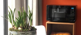 Luxe studio with vintage look in  ‘a New Village on New Land’ Nagele