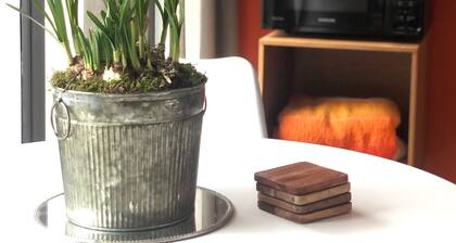 Luxe studio with vintage look in ‘a New Village on New Land’ Nagele