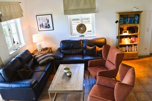TV connectée, cheminée, livres, chaîne hi-fi