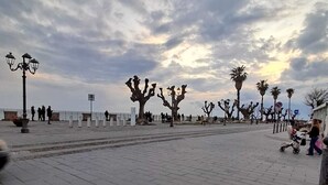 A paved walkway with unique sculptural trees and street lamps.