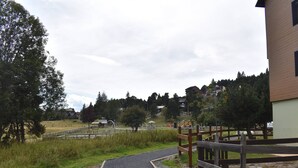 A paved pathway leading to a wooden fence, with a building on the right and a grassy area with trees in the background.
