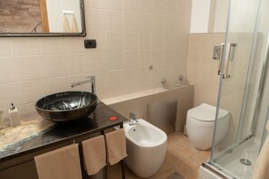 Shower, hair dryer, bidet, towels