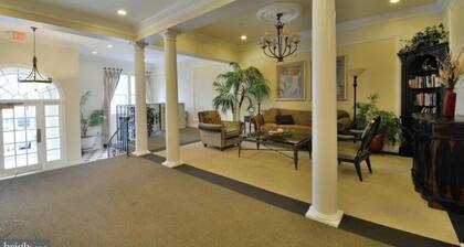 Convenient 2-bedroom condo in Alexandria