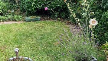 House | Property grounds