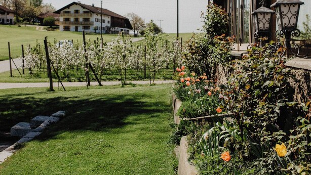 Ein Garten mit blühenden Pflanzen und ein Gebäude mit großen Fenstern.