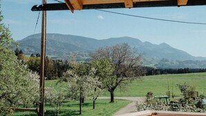 Eine Holzterrasse mit Blick auf ein grünes Feld und Berge.