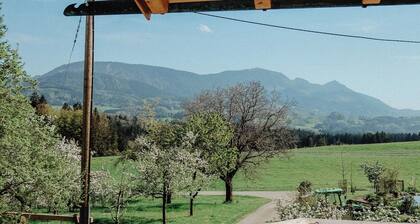 Ferienwohnung mit wundervollem Alpenpanorama und großzügigem Balkon