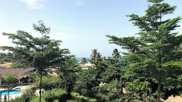 Un jardín ajardinado con piscina, palmeras y vistas al océano.