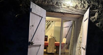 House / pool / large garden in Loiret