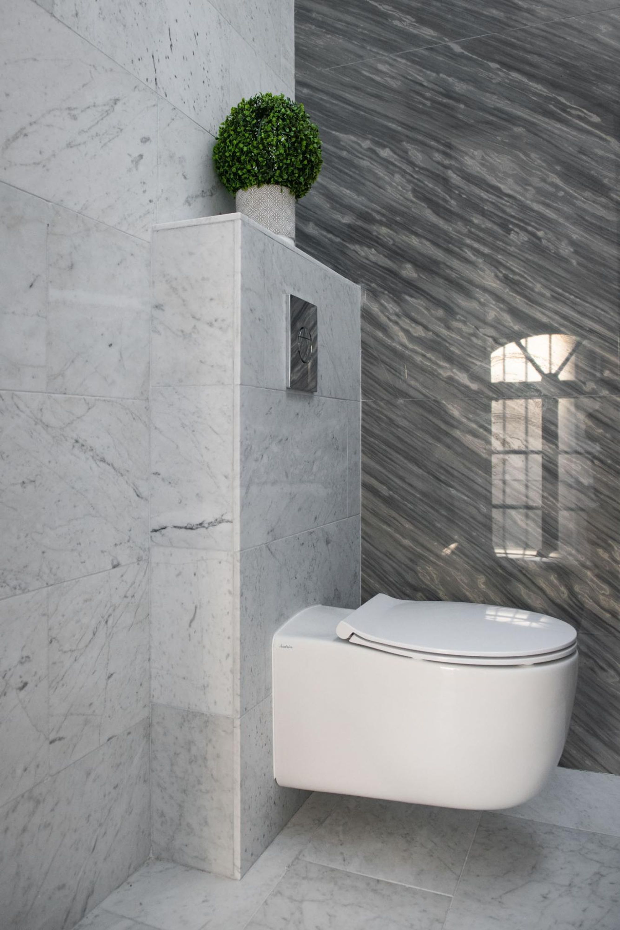 Une salle de bain moderne avec un mur en marbre, des toilettes blanches et une petite plante verte.