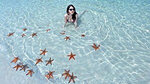 A clear tropical beach with a person in the water surrounded by starfish. - Herbal Resort (Phu Quoc)