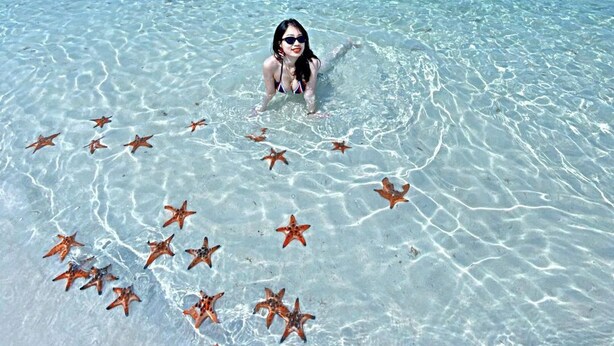 A clear tropical beach with a person in the water surrounded by starfish. - Herbal Resort (Phu Quoc)