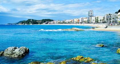 Kistars in Lloret de Mar