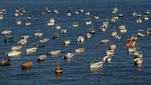 Un port de plaisance rempli de bateaux de toutes sortes.