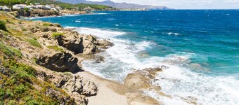 Open Pals - T in Sa Riera