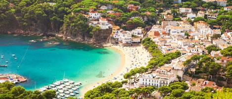 Apartment | 3 bedrooms