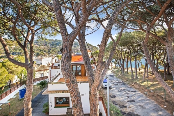 Appartamento | 1 camera