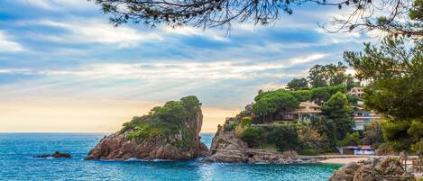 Appartement | 2 chambres