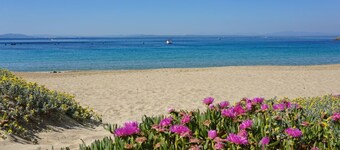 Tres Pins 1 in Lloret de Mar