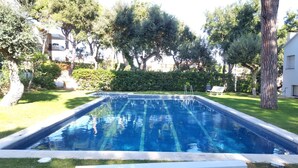 Una piscina rectangular con agua azul cristalina, rodeada de césped cuidado y árboles.