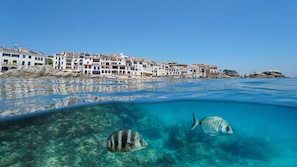 A coastal town with buildings along the shore and clear blue water.