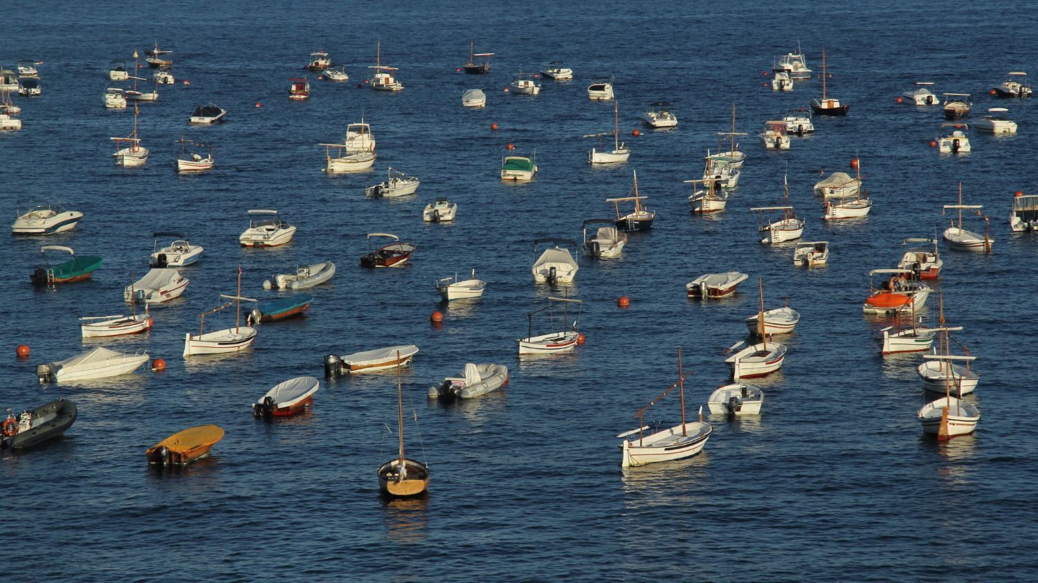 Un porto turistico pieno di diverse imbarcazioni.