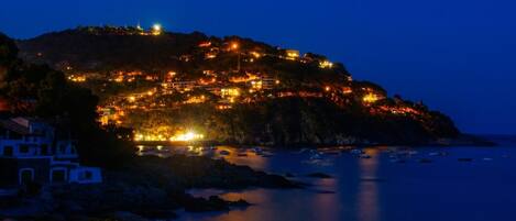 Appartement | 1 chambre