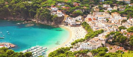 Apartment | 1 bedroom