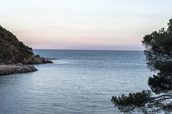 Un paysage côtier avec une mer calme, des falaises rocheuses et une végétation clairsemée.
