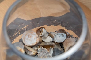 Ein Glasgefäß, gefüllt mit verschiedenen Muscheln und einem weißen Keramikobjekt.