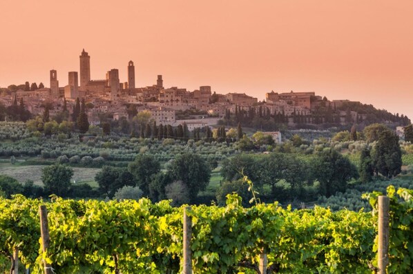 Room - Paterno 407 in San Gimignano (San Gimignano)